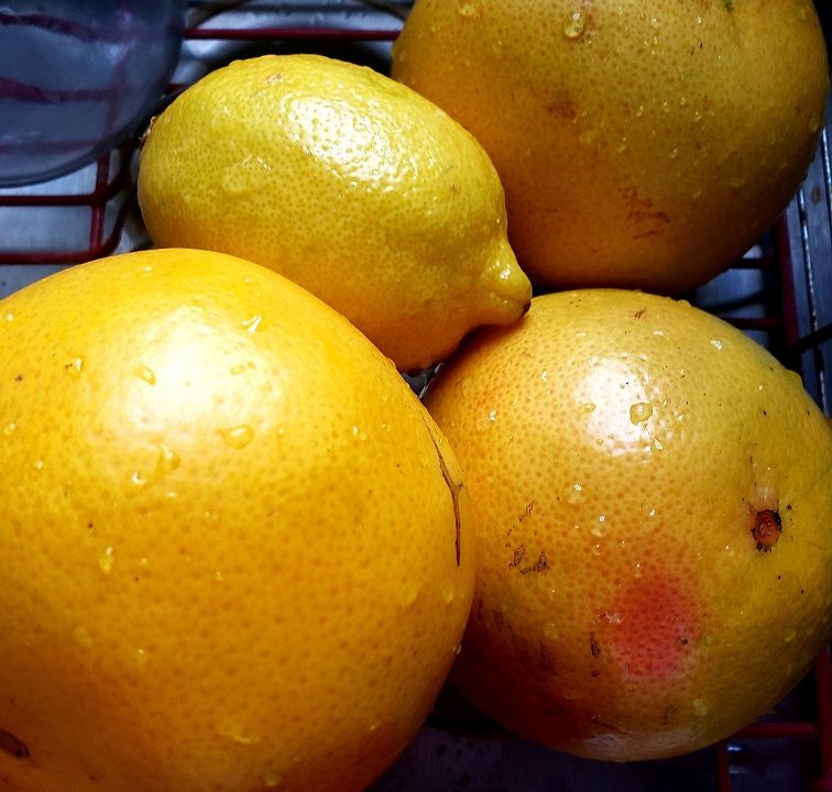 citrus sinensis, quinine, hydroxychloroquine recipe