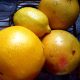 citrus sinensis, quinine, hydroxychloroquine recipe