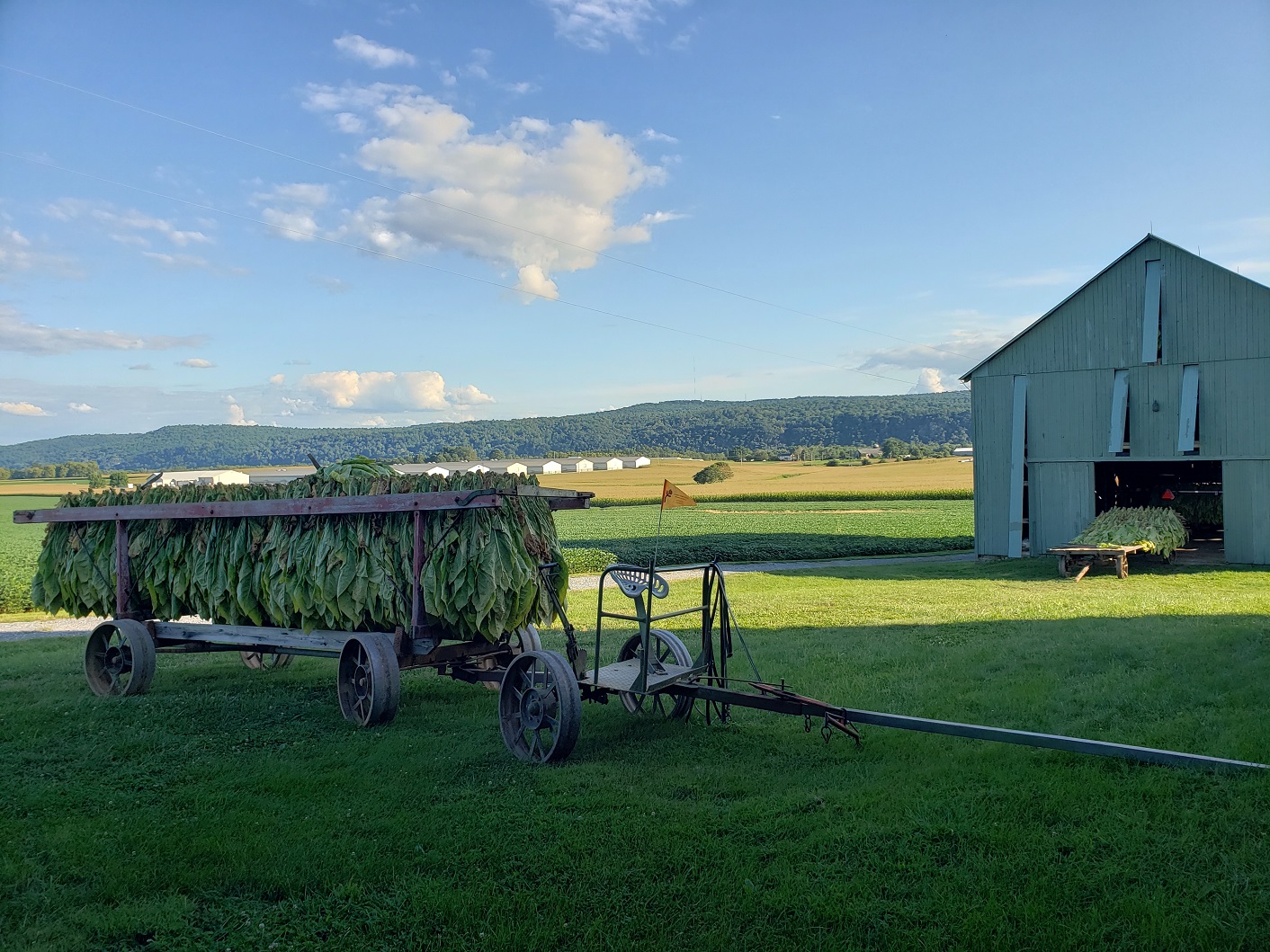 just-dutchy-sayings-of-the-pennsylvania-dutch-sunny-ridge-farm